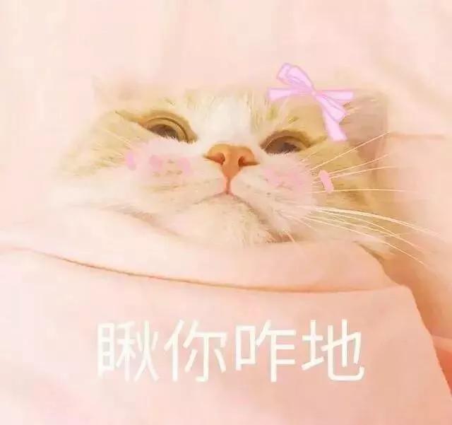 19f3576f8af34343934173152288a2fc