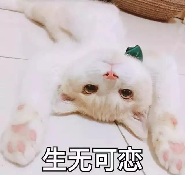 1c421af108434d22b19cb42f7153b1d6