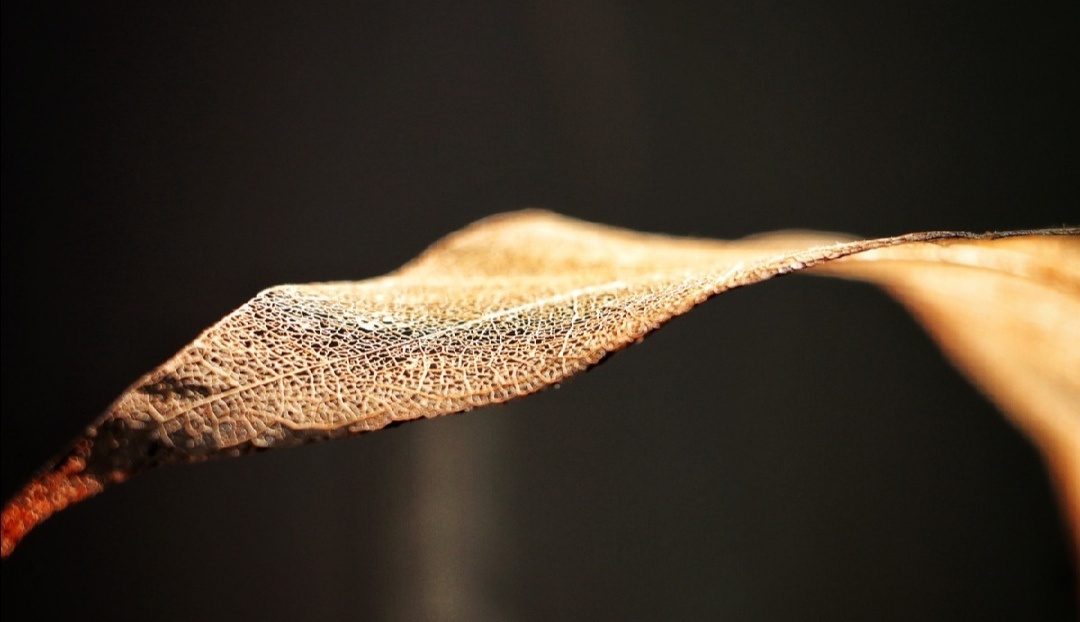 2261f2ed116c41d7a4417d519979b882