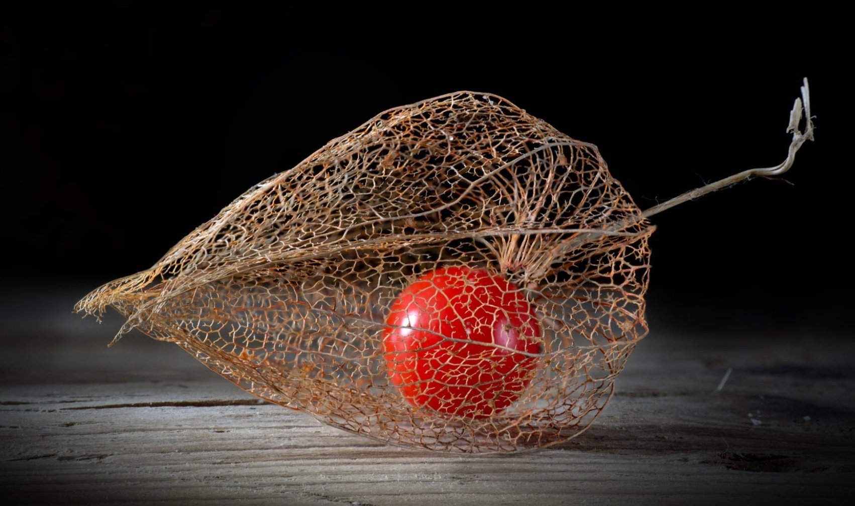 24ec3fd6f436422584518340af6d1aff