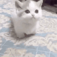 27485fb7dd874bfa9fb26a376ad90af1