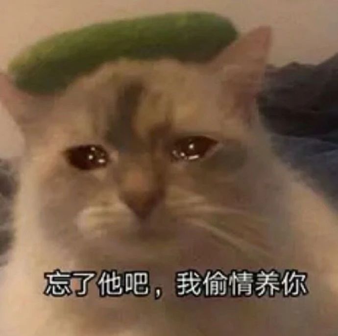 2ef8a878a6e24f79bea003ff01d8539c