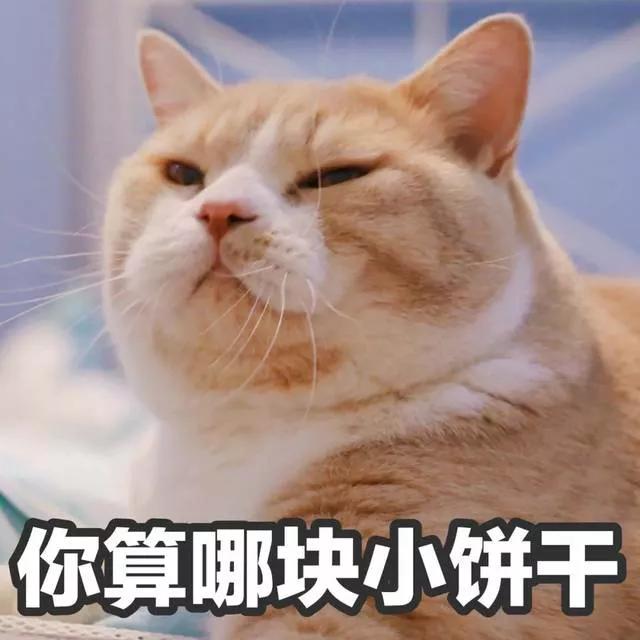 2f0bccee9aaa47cf9be9dda213d1810d