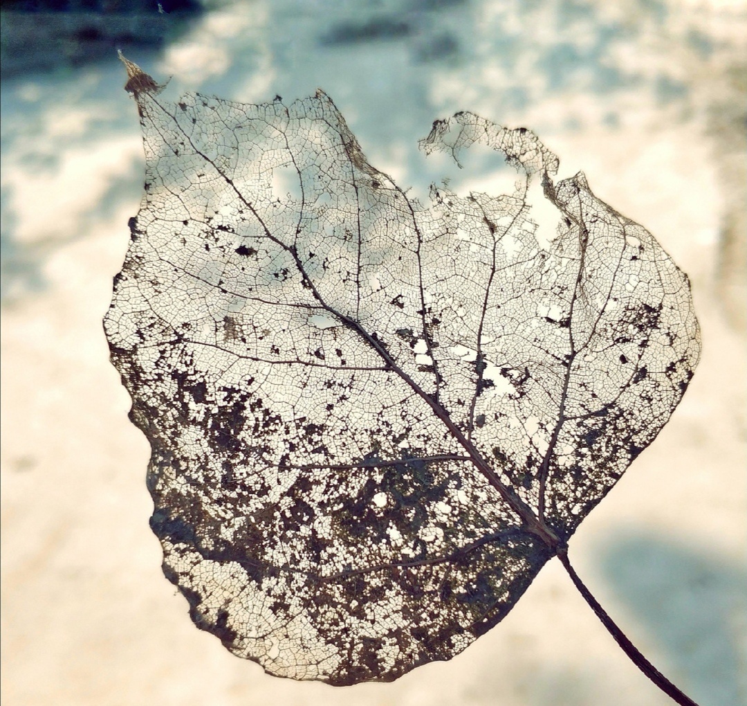 34fa48bbf33649aca0f9212d27b2bf01