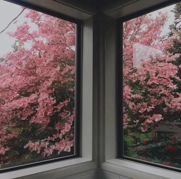 3772d00d829c4cf690b2278b71079e3c