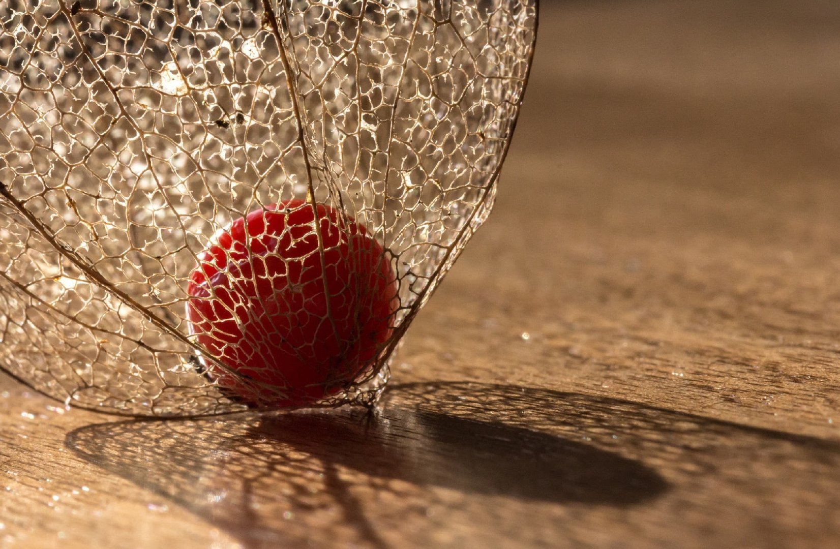 3b2cf4cc53714e3f8c4412290fe05be2