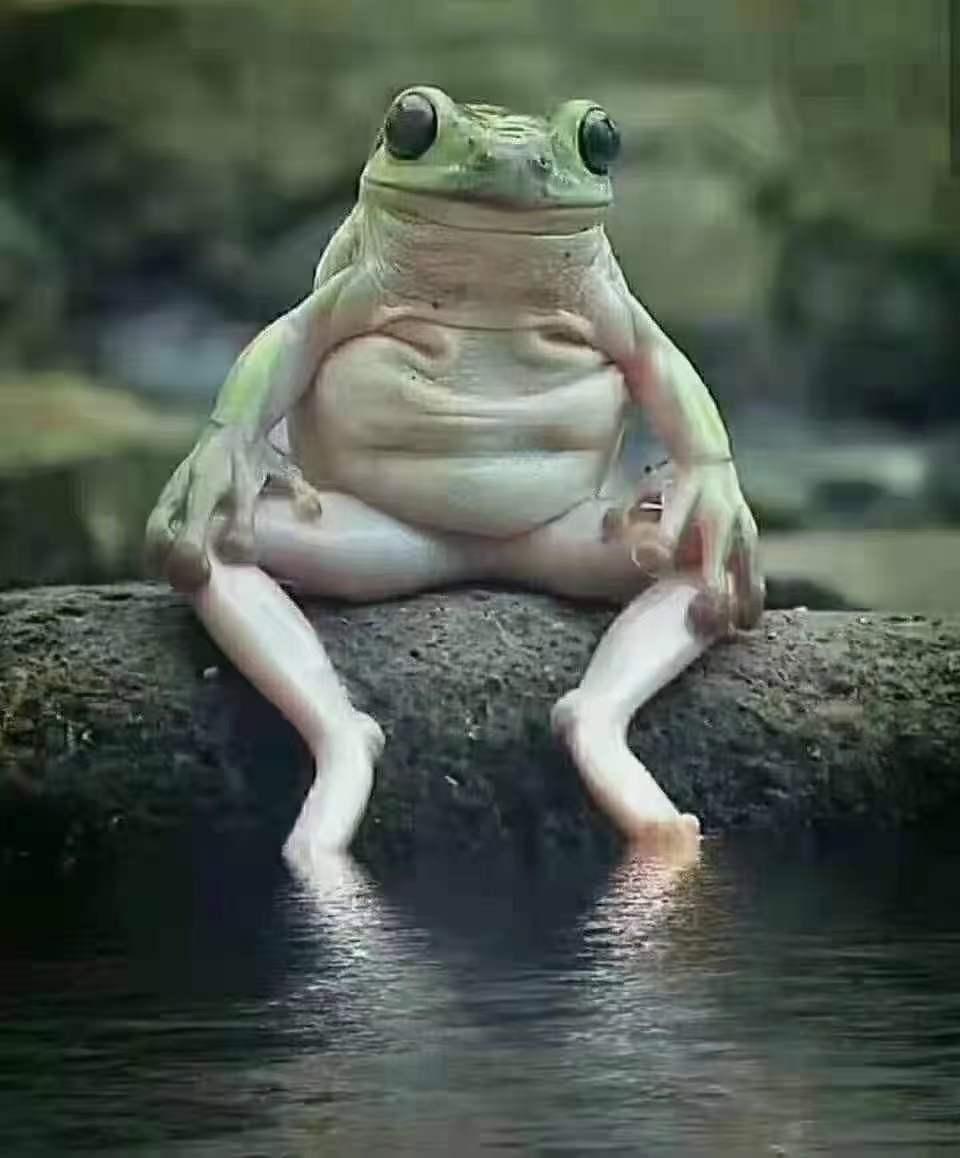 422ba8ab73f14020a1c5b0d1fc6e1a6f