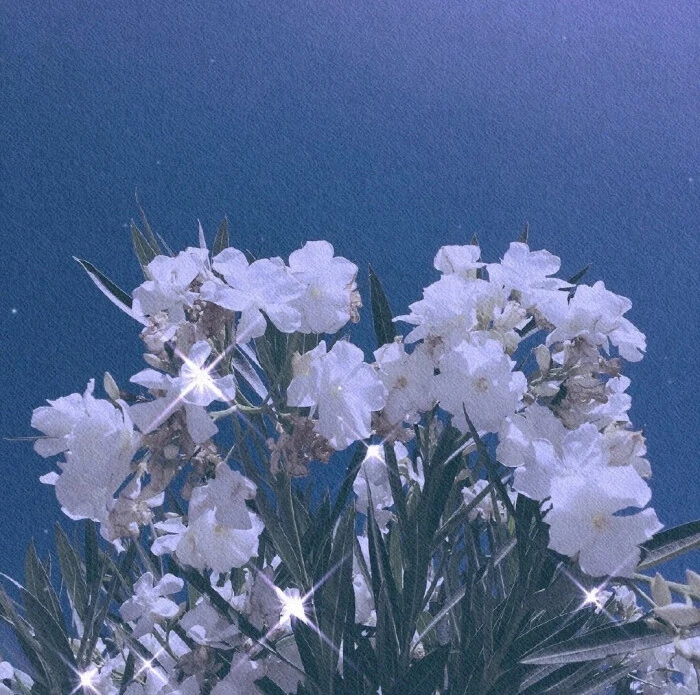 489b4eb0b22e41989fc64371a01287d5