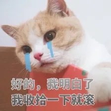 494734177e5b40bf90bff3d0f82175ee