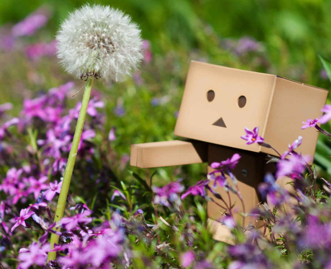 516911ac61334c09811919c7a5e2e377 516911ac61334c09811919c7a5e2e377