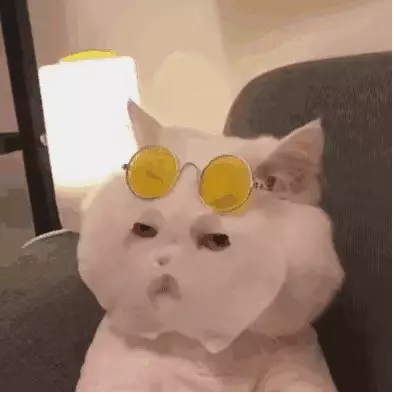 5988e09aa30047c3afa36e733396572a