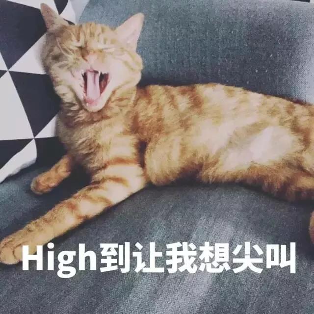 5dd937605257493bac7ebe961da7f206