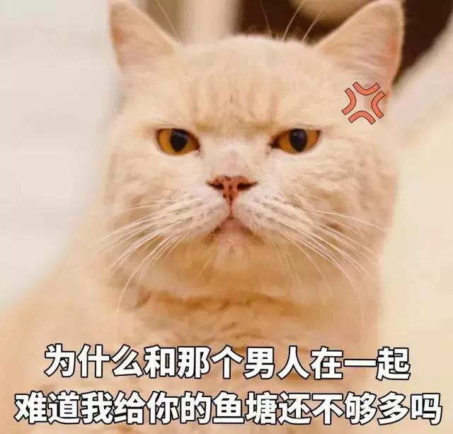 5fe83c65046945e3a2ae54ff0785ca61