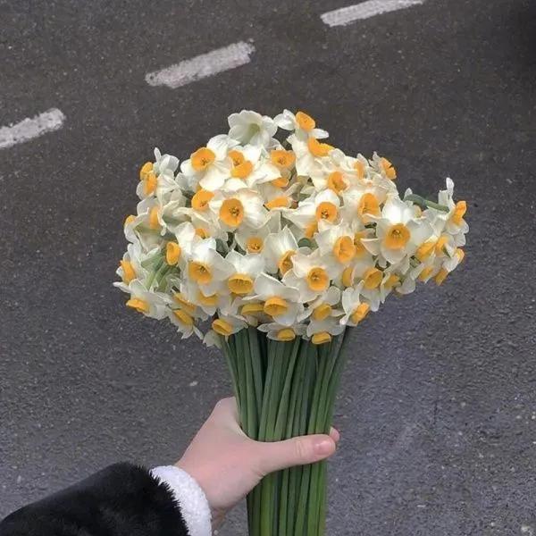 8300f1bdf1a042b6bc31100d16c74c87