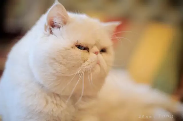 87818c8dd89a4acbb807c95ab6fdd011 87818c8dd89a4acbb807c95ab6fdd011