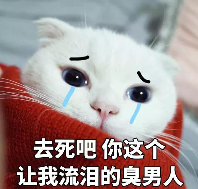 8e02579dae744b5aae5c4a0bbbe025e7