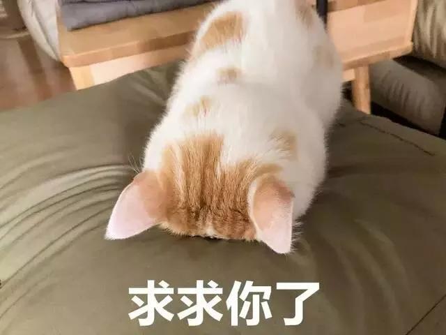 9d88d7648d324aeb9fb3da1792141c40