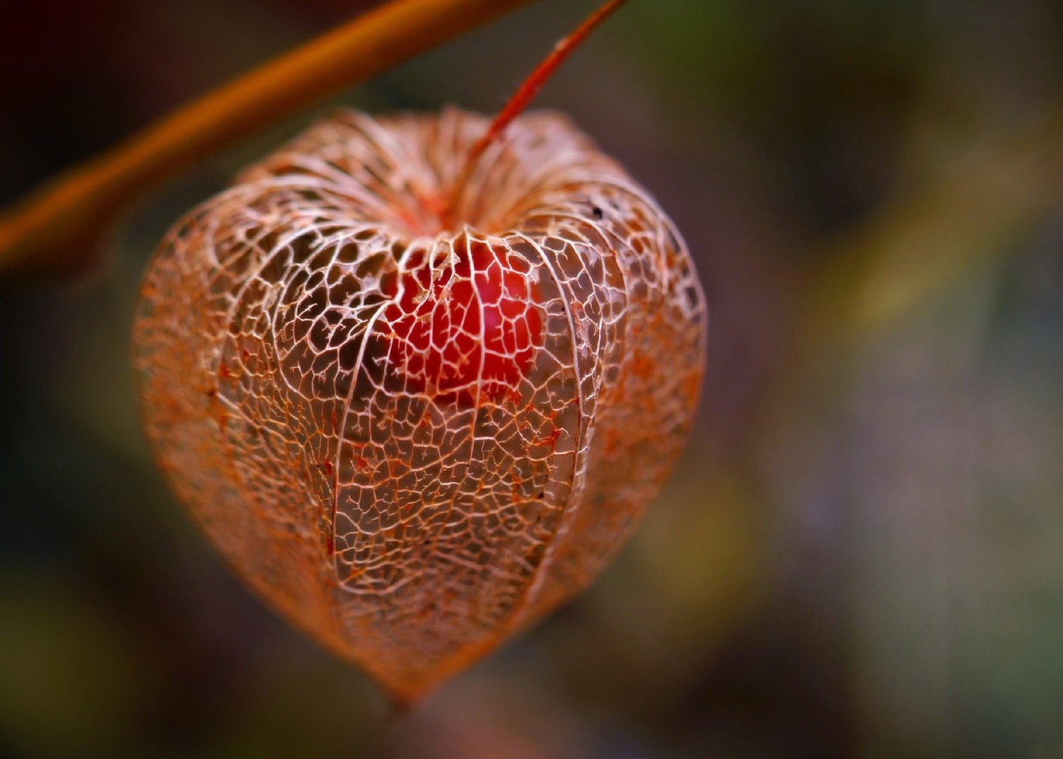 a4fa2f2b552f42bd9743b350d00b1193