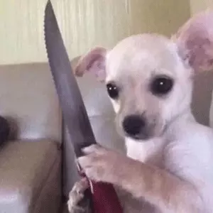 b09ca5a8045f4b3fa0b3b495a7ee0288