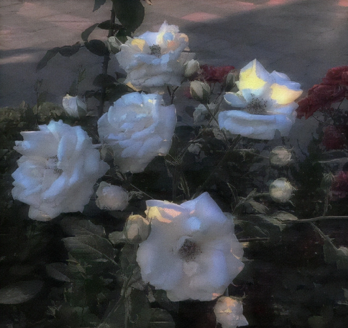 b6de1736c5e44f5e8f31b0b3d7204a4d