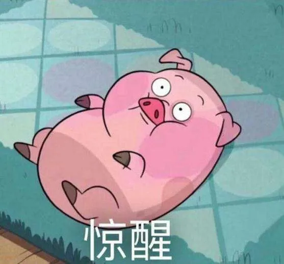 becc7f13dde6488d9e5d65135d615959