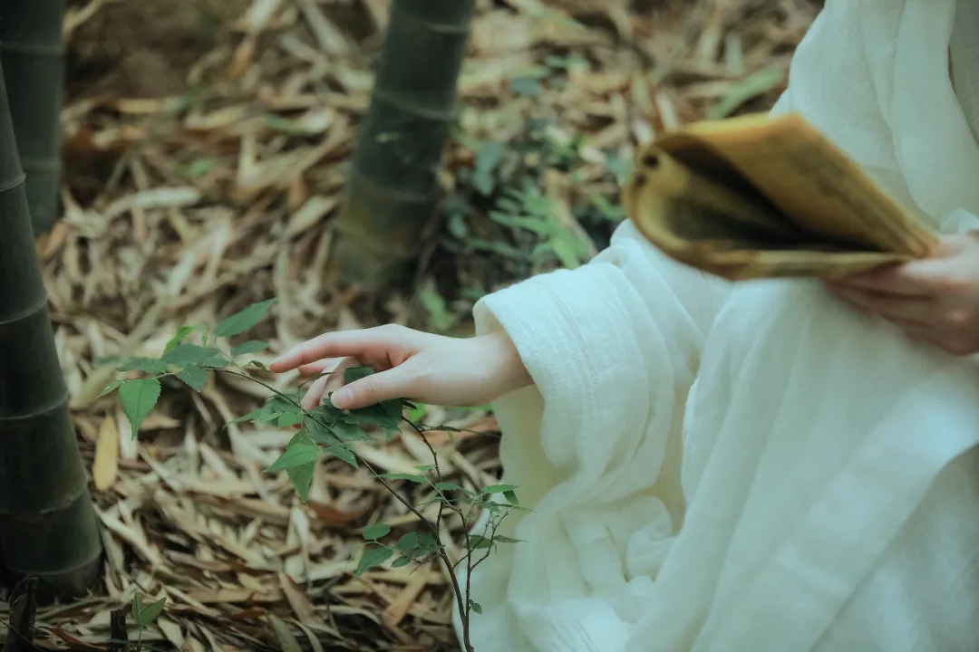 c69c36dc871e4f08939299421a04cf90