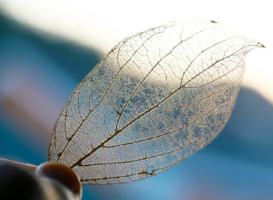 d0d3cf48a3ea47ce8ecefc8a3f127e8a