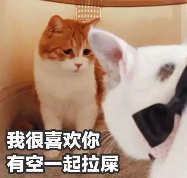 d2c791dbe3064da2b52d44af569f55d0