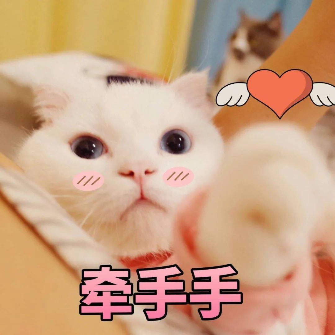 d67cb10e0f3a4620bcdbd8a9bb44399a