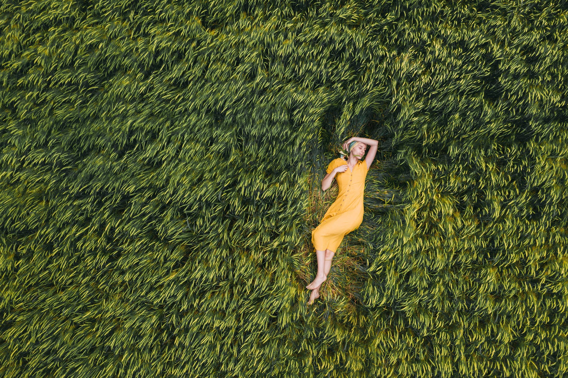 debda2c4ed544ffda1c2b85402aa3100