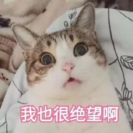 e2177bedd8204f0892eabacee596310d