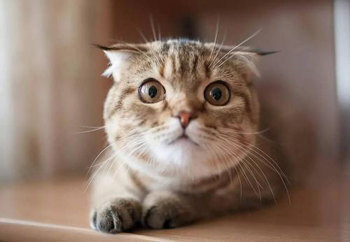 e510e25f449e44cf8e6ffd3c1d0100d5