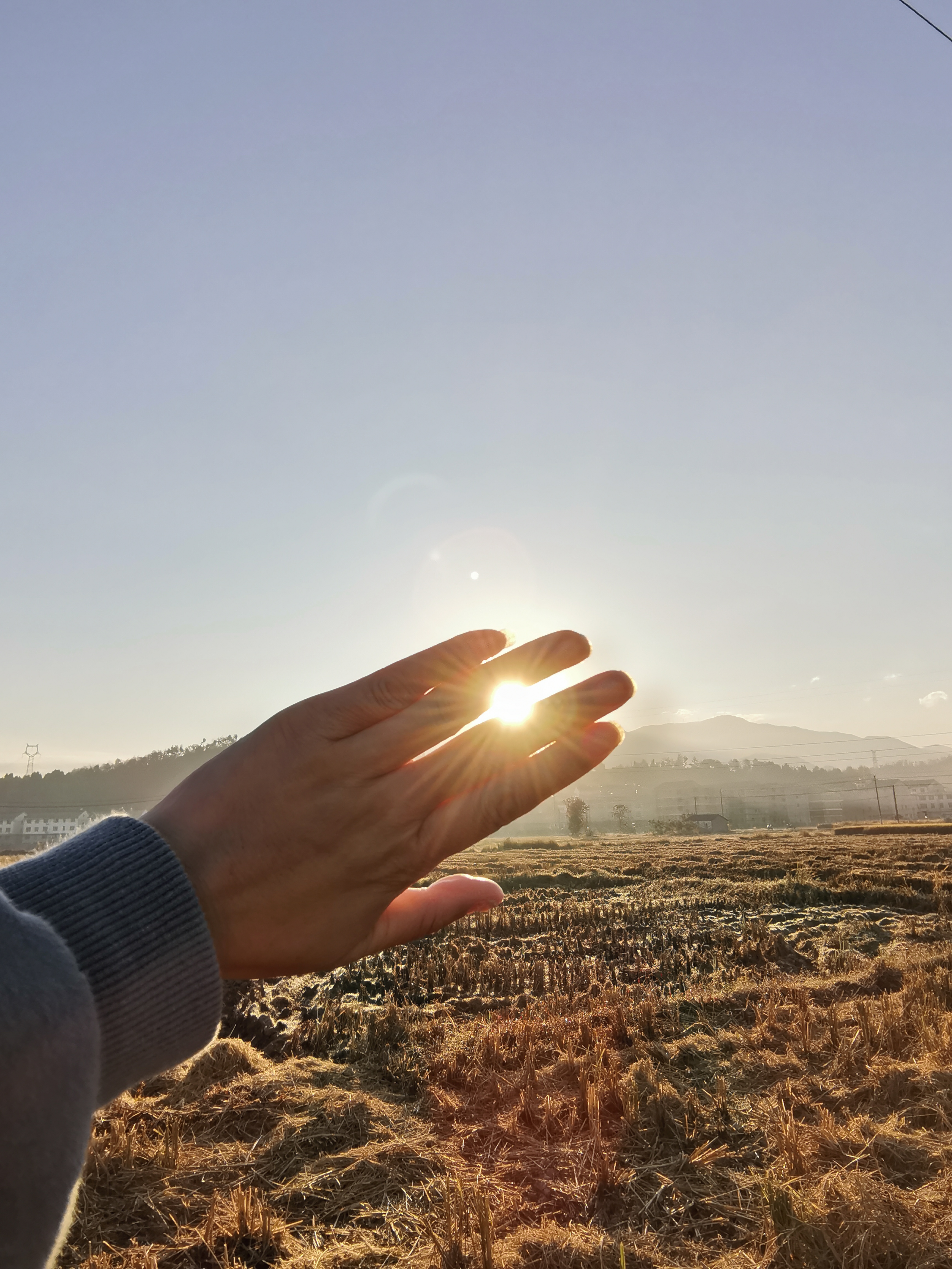 f2838d5b7c6a460b91ae96a4dd559e8b