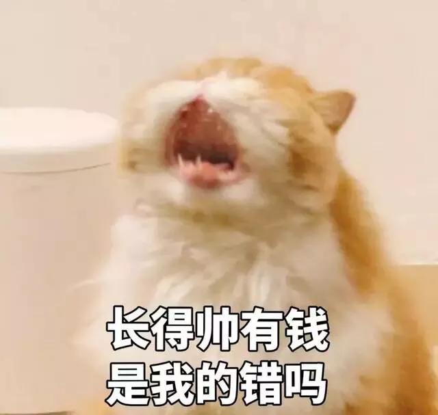 f6955cfd78b9405f9fd2a2f61ecf4f16