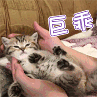 faf00c8a4985435fa19e11fb4c1a3c9c