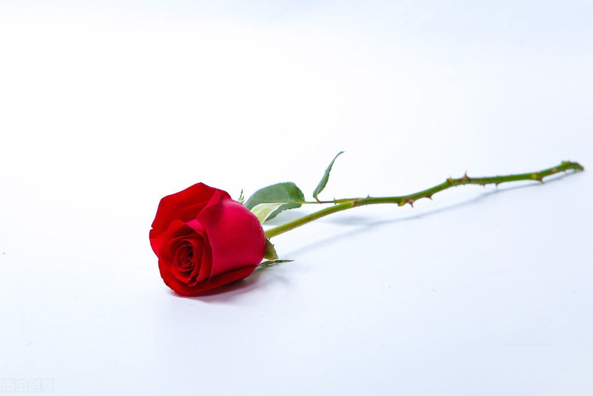 89bd07ed92584b3d92771c8af3ec083b